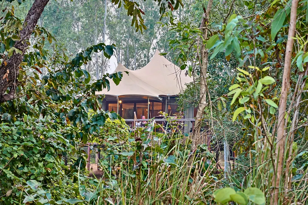 The Chief's Tent seen through jungle foliage
