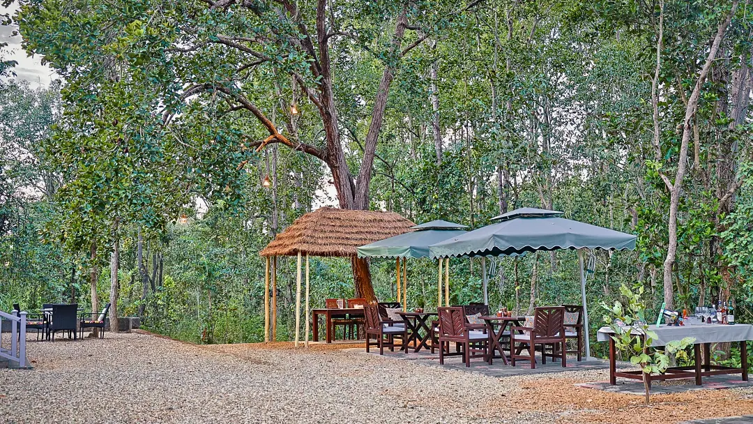 Canopied dining tables on gravel beneath the trees