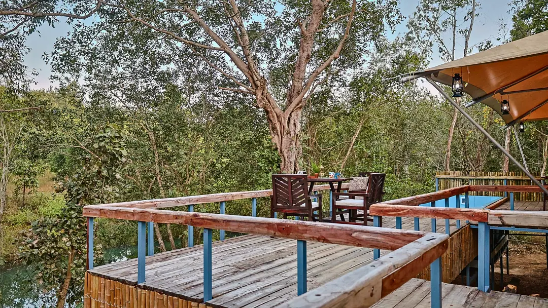 The King's Tent deck with chairs, pool and forest canopy