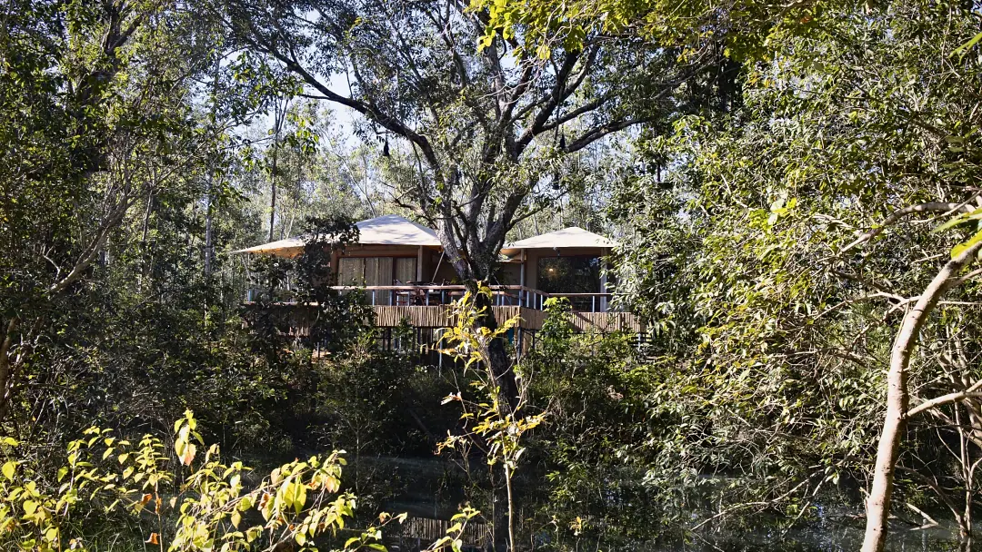The King's Tent seen through the trees